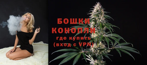 MESCALINE Карпинск