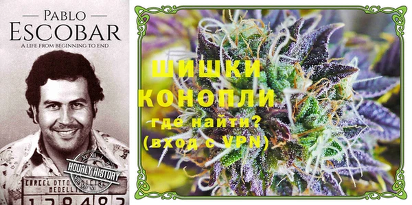 ALPHA PVP Касимов