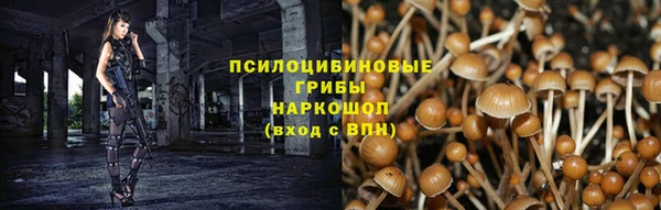 скорость Карталы